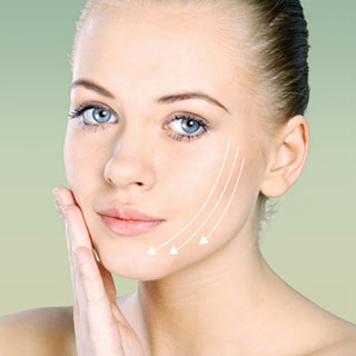 ** מבנה העור : העור מכיל מספר שכבות עיקריות :